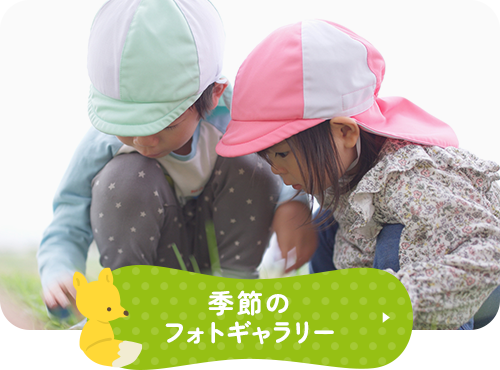 季節のフォトギャラリー